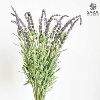 Lavender Bouquet