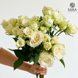 Brilliant Stars White