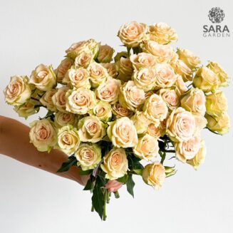 Peaches N' Cream Jewel