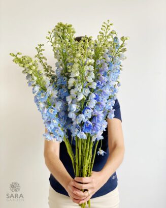 Delphinium Light Blue Bluebird